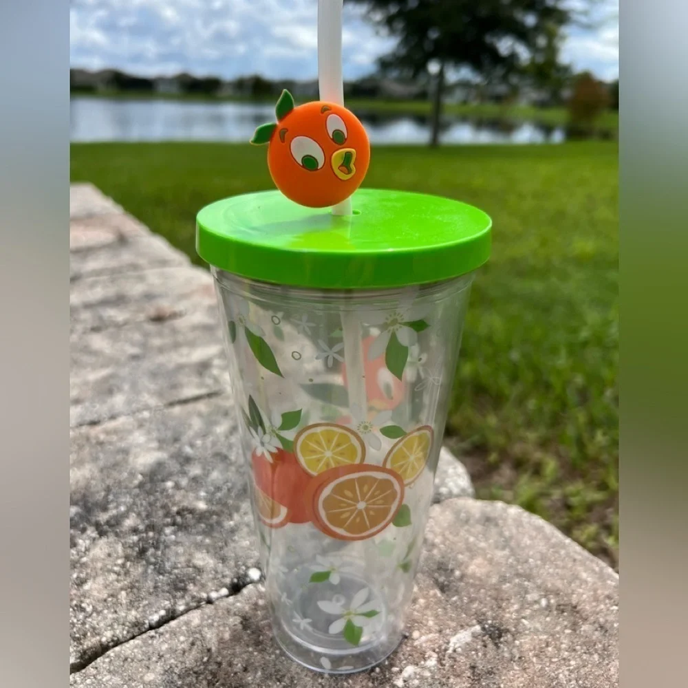 Disney Orange Bird Hello Sunshine Tumbler